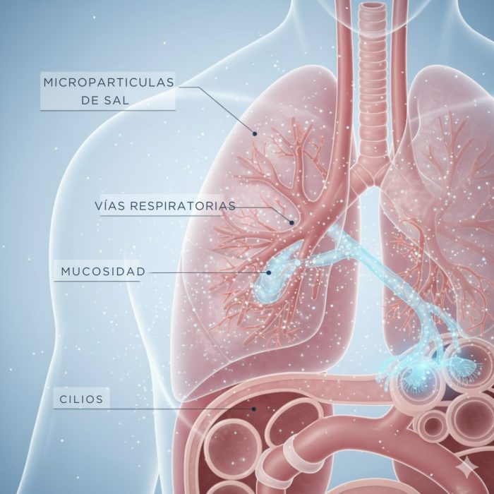 Esquema de micropartículas de sal y su efecto en las vías respiratorias durante la haloterapia