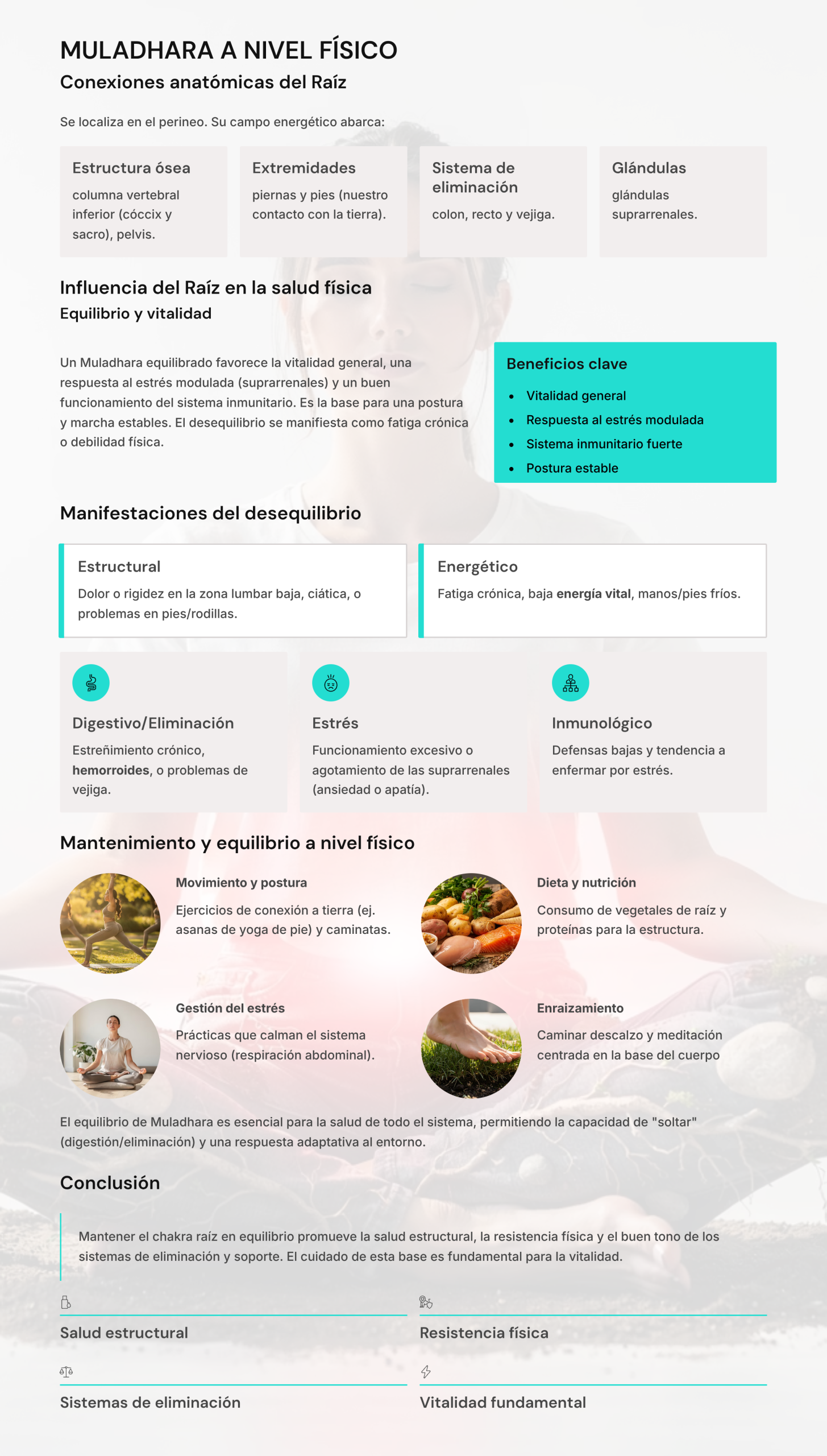 Infografía del chakra raíz (Muladhara) a nivel físico con conexiones anatómicas, beneficios y señales de desequilibrio